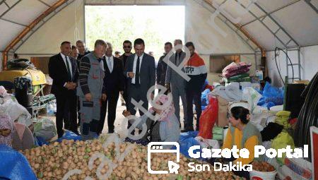 Dinar’da ceviz sezonu açıldı: Üretici rekolteden memnun