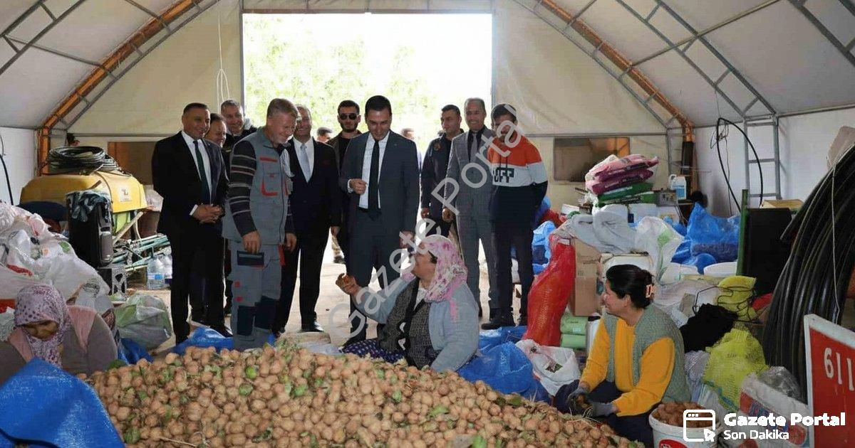 "Dinar’da ceviz sezonu açıldı: Üretici rekolteden memnun" başlıklı haber için fotorealistik, profesy