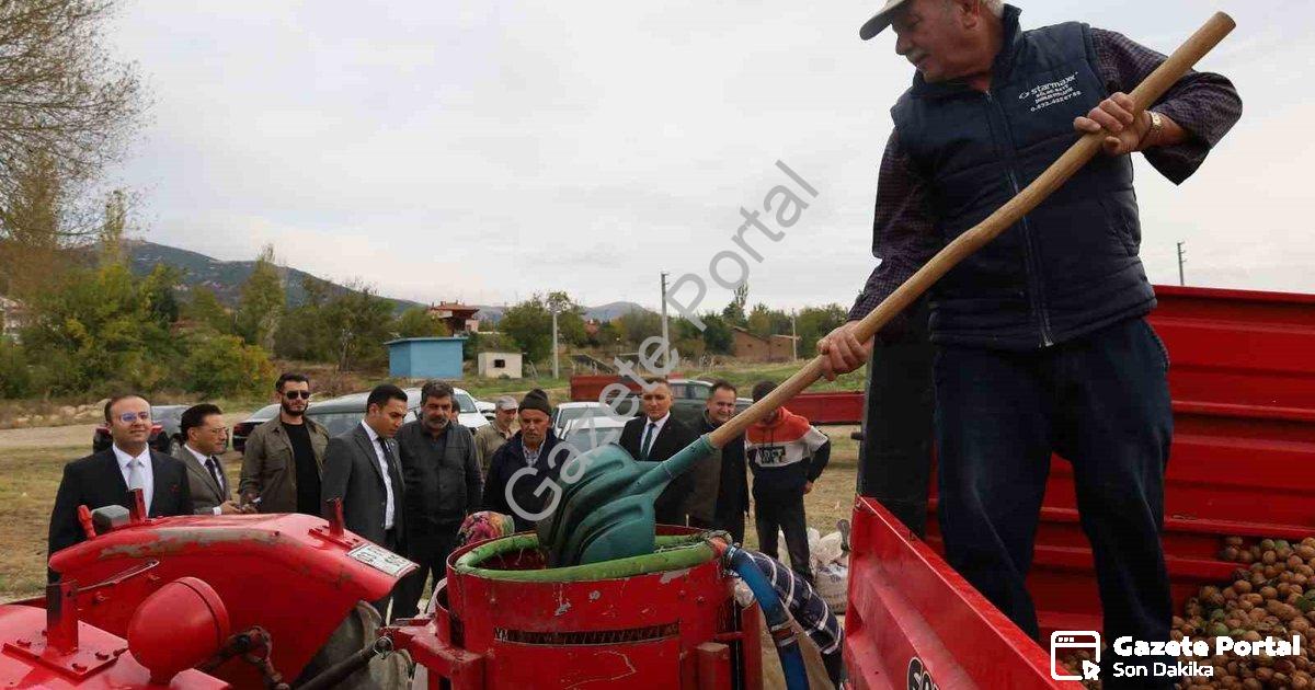 AFYONKARAHİSAR'IN DİNAR İLÇESİNDE CEVİZ HASADI BAŞLARKEN, REKOLTENİN BU YIL ÇİFTÇİLERİ MEMNUN ETTİĞİ BELİRTİLDİ.