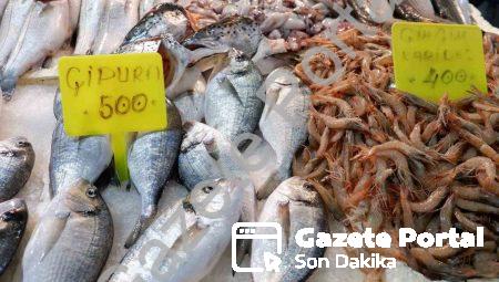 Foça Balık Hali’nde Kış Bereketi: Sardalya ve Uskumru Mevsimi Başladı