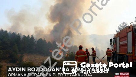Aydın Bozdoğan’da Zirai Yangın Ormana Sıçradı: Ekipler Teyakkuzda