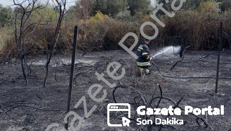 Muğla Yatağan’da Korkutan Yangın: Üzüm Bağları Kül Oldu