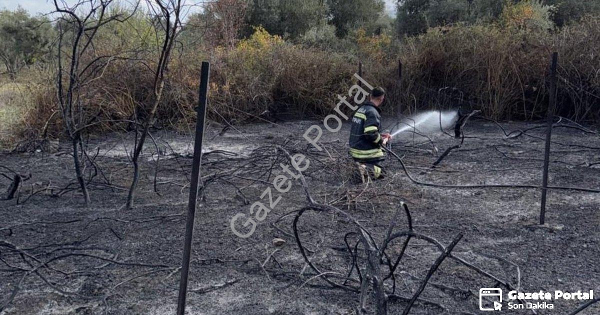"Muğla Yatağan'da Korkutan Yangın: Üzüm Bağları Kül Oldu" başlıklı haber için fotorealistik, profesy