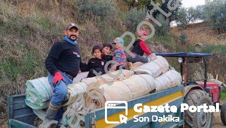 Sarıgöl’de Hasat Sonrası Yoğun Mesai: Üzüm Örtüleri Toplanıyor