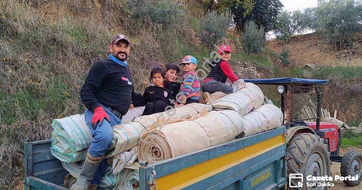 "Sarıgöl'de Hasat Sonrası Yoğun Mesai: Üzüm Örtüleri Toplanıyor" başlıklı haber için fotorealistik,