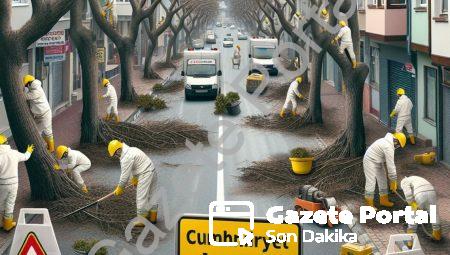 Afyonkarahisar Belediyesi’nden Cumhuriyet Mahallesi’nde ağaç budama uyarısı