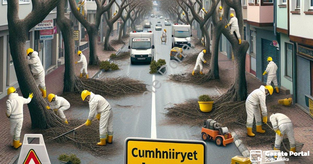 "Afyonkarahisar Belediyesi’nden Cumhuriyet Mahallesi’nde ağaç budama uyarısı" başlıklı haber için fo