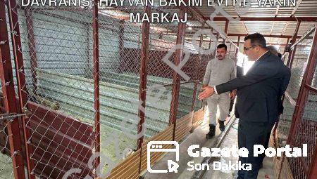 Sarıgöl Kaymakamı Halil Dalak’tan Örnek Davranış: Hayvan Bakım Evi’ne Yakın Markaj