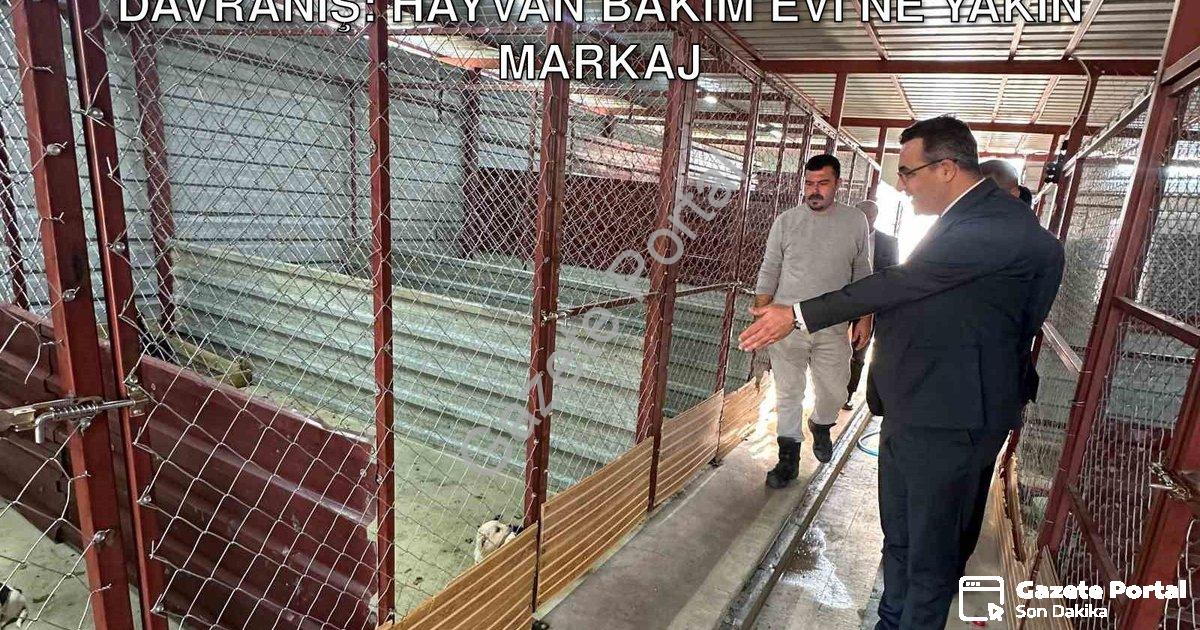 "Sarıgöl Kaymakamı Halil Dalak’tan Örnek Davranış: Hayvan Bakım Evi’ne Yakın Markaj" başlıklı haber