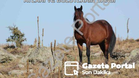 Afyonkarahisar’da Görsel Şölen: Yılkı Atları ve Bulutların Dansı