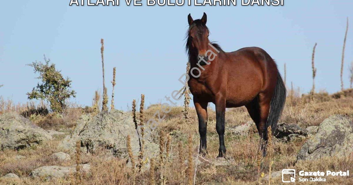 "Afyonkarahisar'da Görsel Şölen: Yılkı Atları ve Bulutların Dansı" başlıklı haber için fotorealistik