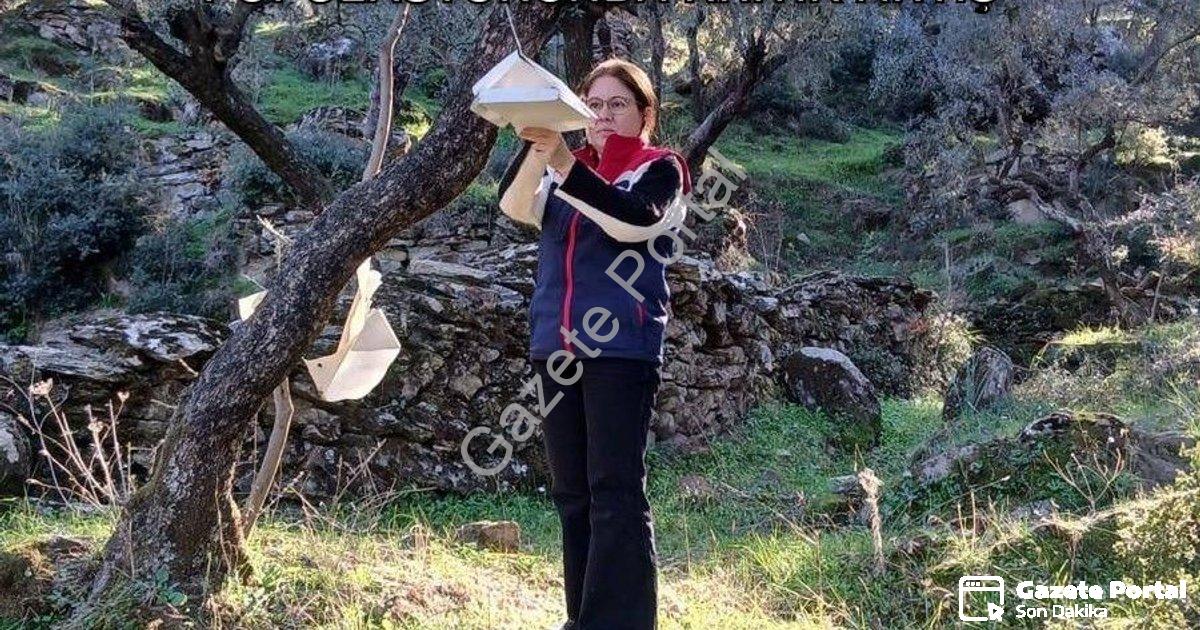 "Söke'de Üreticiye Acil Uyarı: Zararlı Popülasyonunda Kritik Artış" başlıklı haber için fotorealisti