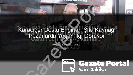 Karaciğer Dostu Enginarın Şifa Kaynağı Pazarda Göz Kamaştırıyor: Mehmet Özkan’dan Özel Açıklamalar