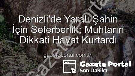 Denizli’de Yaralı Şahin İçin Seferberlik: Muhtarın Dikkati Hayat Kurtardı