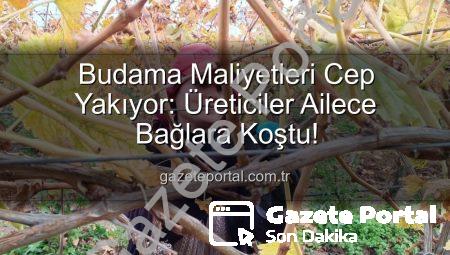 Budama Maliyetleri Cep Yakıyor: Üreticiler Ailece Bağlara Koştu!