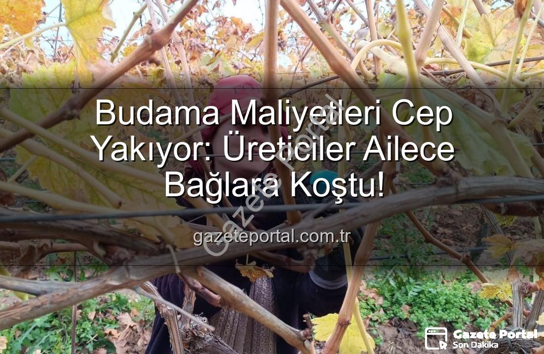 budama maliyeti - Budama Maliyetleri Cep Yakıyor: Üreticiler Ailece Bağlara Koştu!