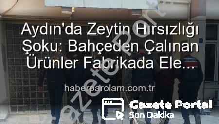 Aydın’da Bahçeden Çalınan Zeytinler Organize Takiple Fabrikada Ele Geçirildi: 2 Şüpheli Tutuklandı