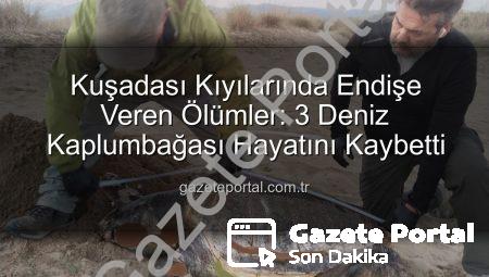 Kuşadası Kıyılarında Endişe Veren Ölümler: 3 Deniz Kaplumbağası Hayatını Kaybetti