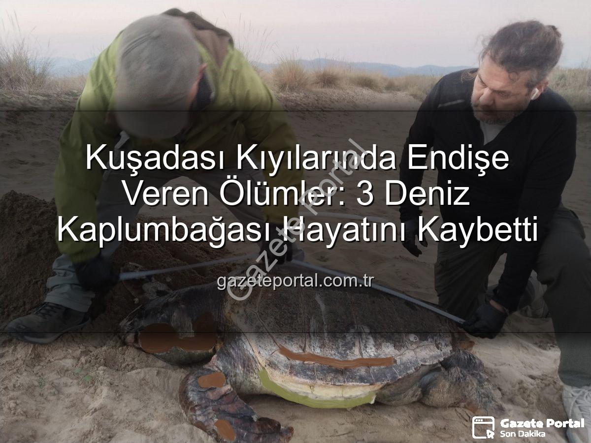 deniz kaplumbağası ölümleri - Kuşadası Kıyılarında Endişe Veren Ölümler: 3 Deniz Kaplumbağası Hayatını Kaybetti