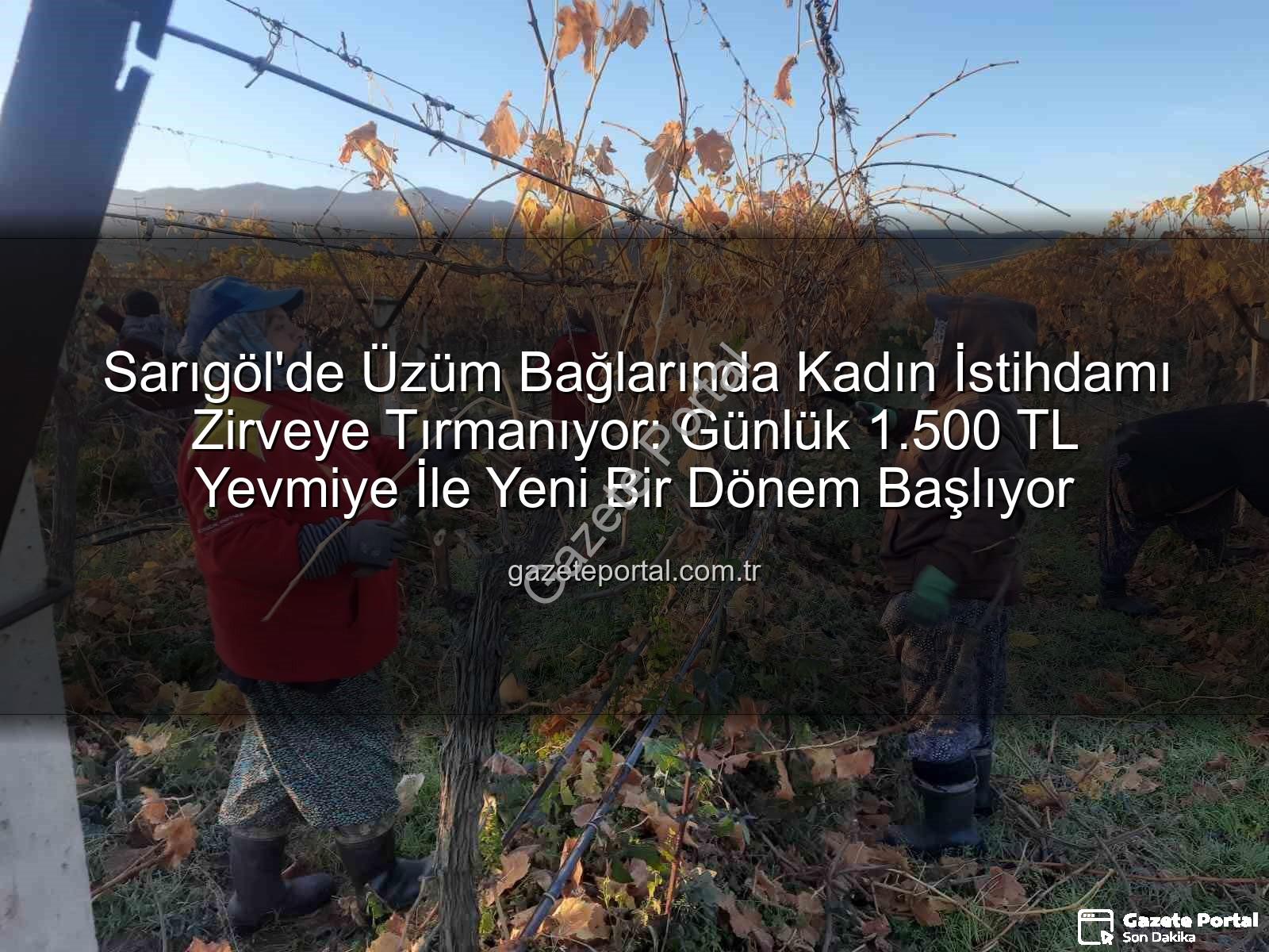 kadın istihdamı - Sarıgöl'de Üzüm Bağlarında Kadın İstihdamı Zirveye Tırmanıyor: Günlük 1.500 TL Yevmiye İle Yeni Bir Dönem Başlıyor