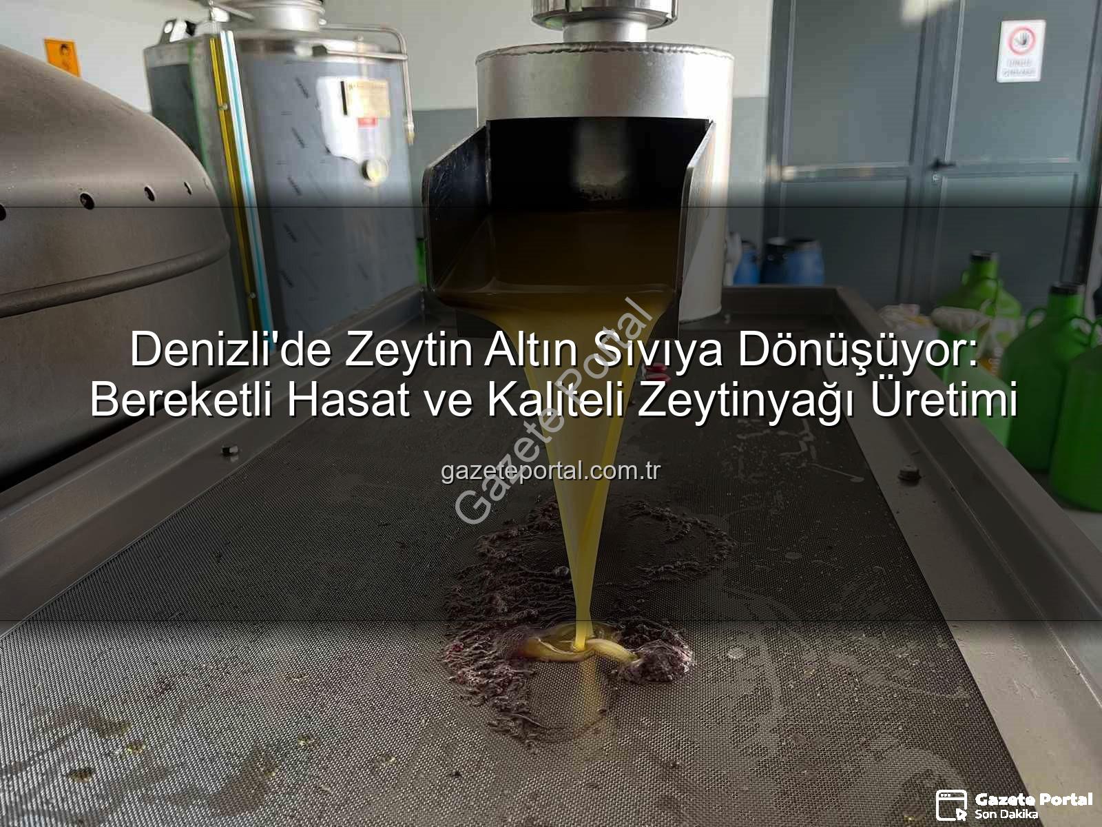 zeytin yağı üretimi - Denizli'de Zeytin Altın Sıvıya Dönüşüyor: Bereketli Hasat ve Kaliteli Zeytinyağı Üretimi