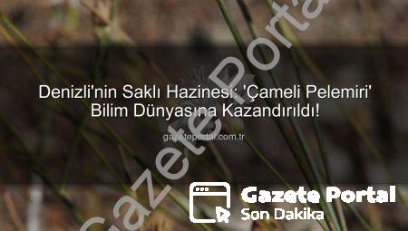 Denizli’nin Saklı Hazinesi: ‘Çameli Pelemiri’ Bilim Dünyasına Kazandırıldı!