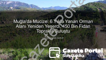 Muğla’da Mucize: 6 Yılda Yanan Orman Alanı Yeniden Yeşerdi, 450 Bin Fidan Toprakla Buluştu