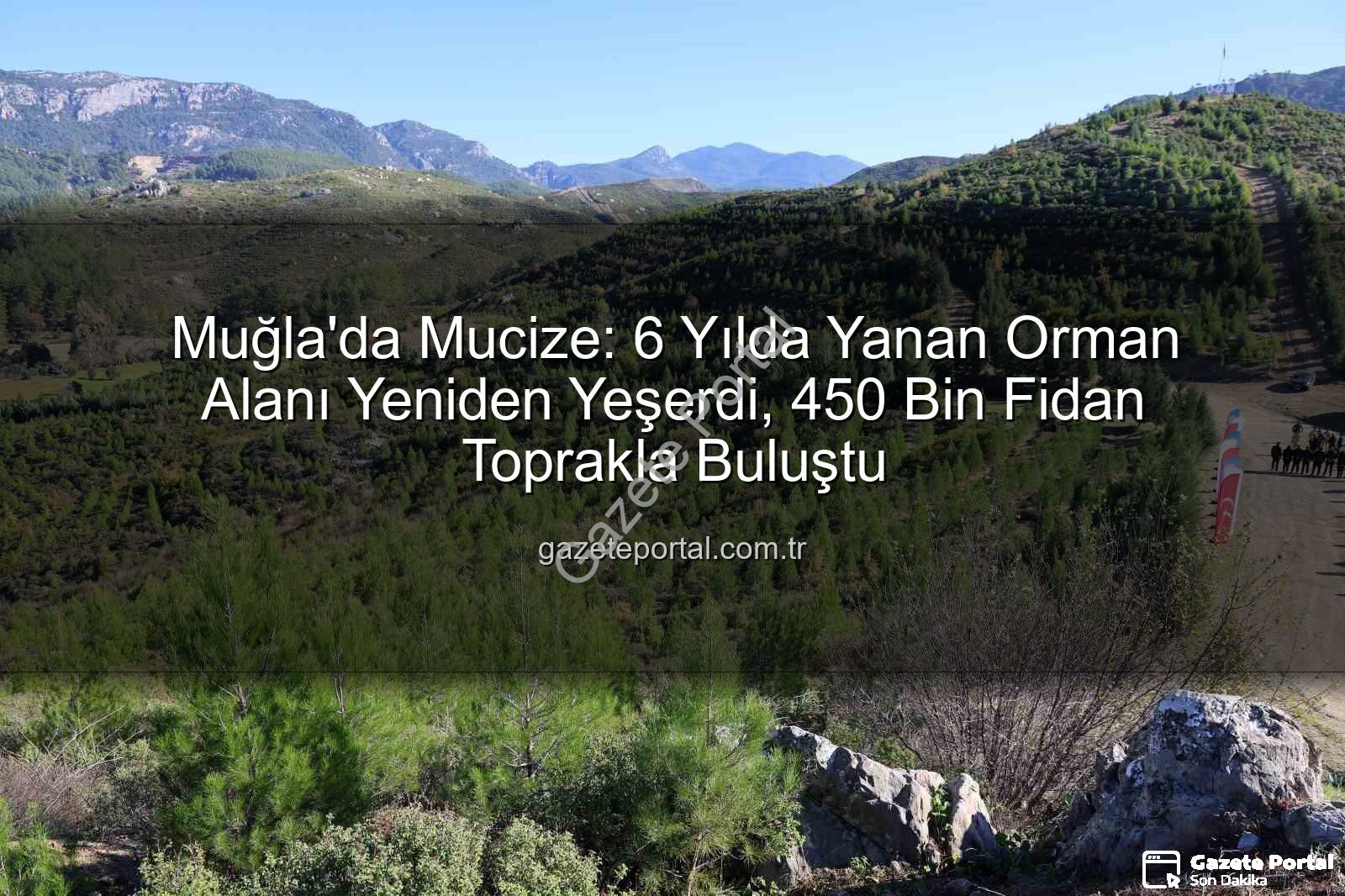 yanan orman alanı - Muğla'da Mucize: 6 Yılda Yanan Orman Alanı Yeniden Yeşerdi, 450 Bin Fidan Toprakla Buluştu
