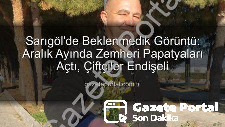 Sarıgöl’de Beklenmedik Görüntü: Aralık Ayında Zemheri Papatyaları Açtı, Çiftçiler Endişeli