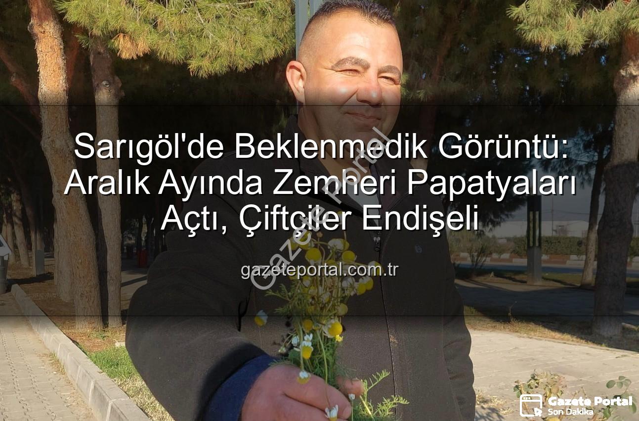 Aralık Ayı Papatyaları - Sarıgöl'de Beklenmedik Görüntü: Aralık Ayında Zemheri Papatyaları Açtı, Çiftçiler Endişeli